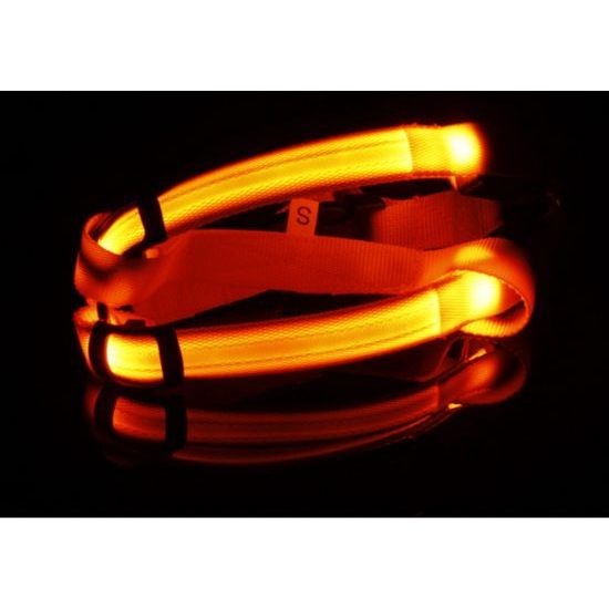 Reedog svíticí kšíry pro psy a kočky