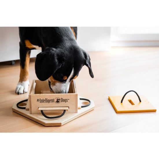 My Intelligent Pets Dřevěný hlavolam Trouble/obtížnost 1-4