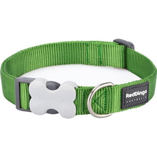 Red Dingo Obojek 12 mm x 20-32 cm Zelená