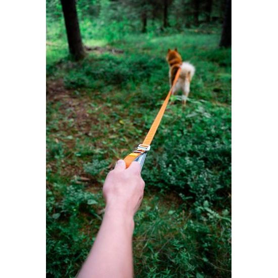 Woolly Wolf Roam Adjustable Leash