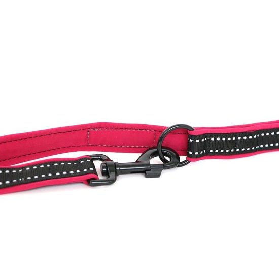 Aminela jednoduché vodítko podšité Sport & City 25mm/150cm malinová