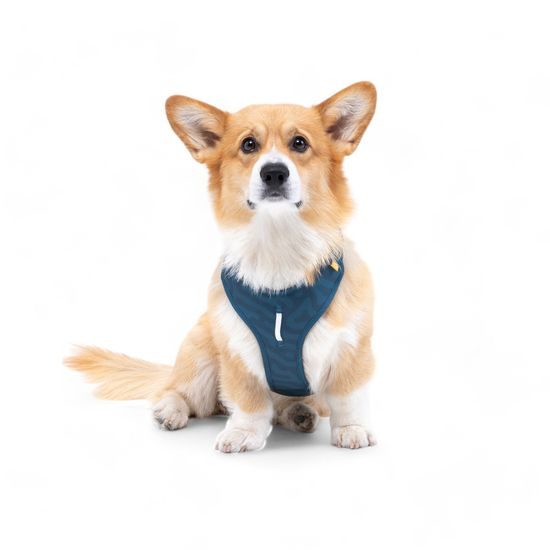Woolly Wolf Roam Harness