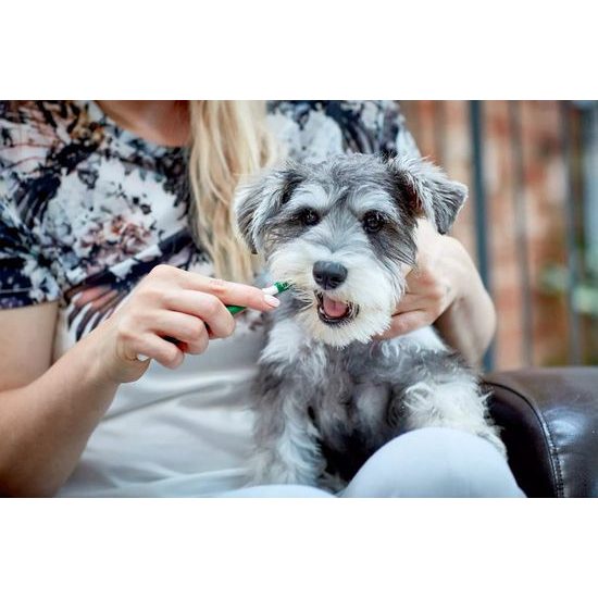 Vet's Best kartáček na zuby se 3 hlavicemi