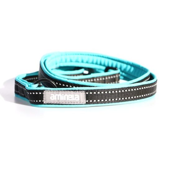 Aminela jednoduché vodítko podšité Sport & City 25mm/150cm tyrkysová