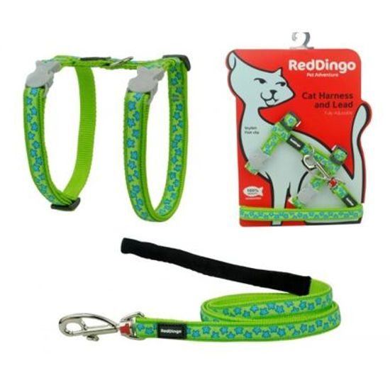 Red Dingo Postroj s vodítkem kočka Stars Turquoise