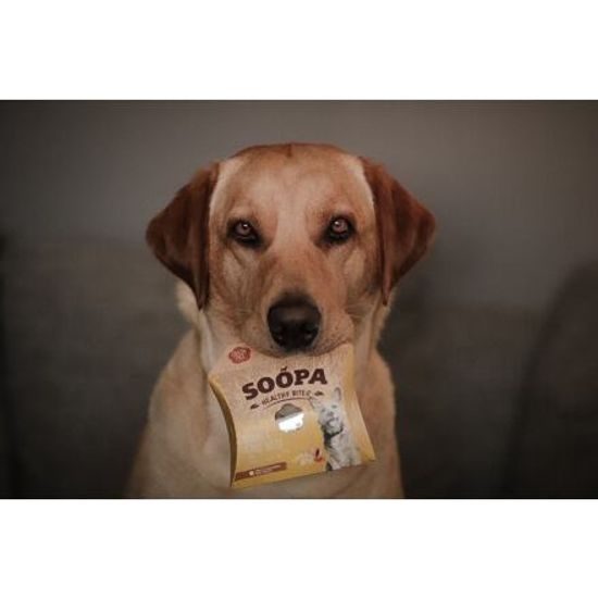 Soopa Pets Soopa Healthy Bites s banánem a arašídovým máslem 50 g