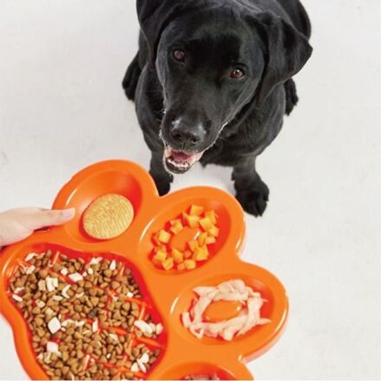 Red Dingo PetDreamHouse zpomalovací miska Paw Slow Feeder