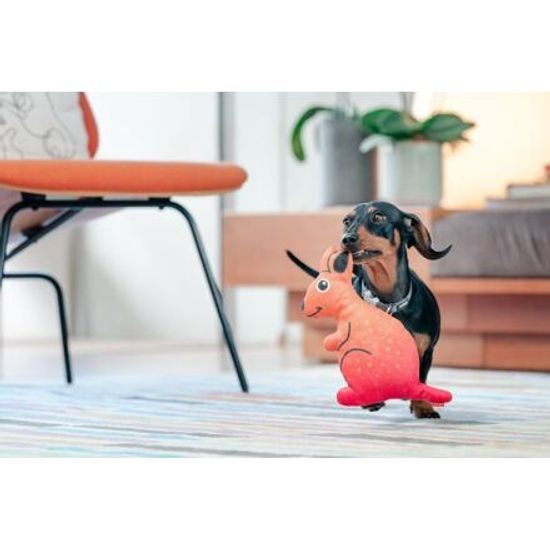 Red Dingo Durables Klokanice Kath