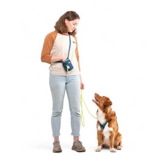 Woolly Wolf Horizon Harness