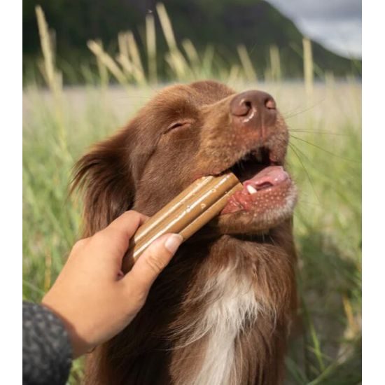 Soopa Pets Dentální tyčinky Jumbo s mrkví a dýní 170 g