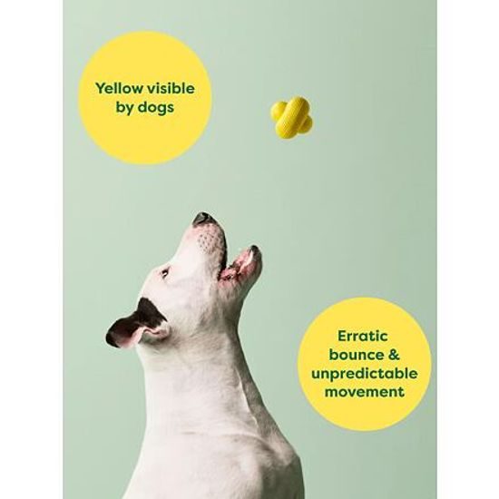 Earth Rated Fetch Toy Aportovací míček – M