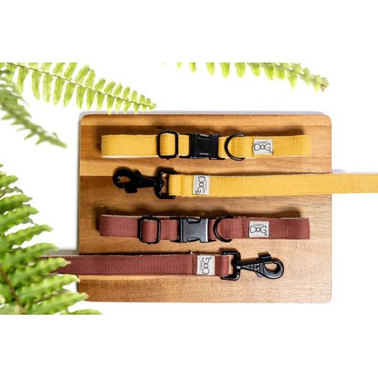 FUNKY DOG Konopný hořčicový obojek pro psa 2,5 cm