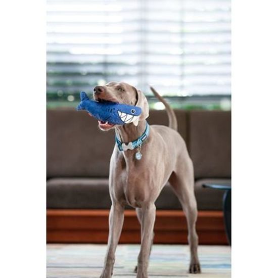 Red Dingo Durables Žralok Steve