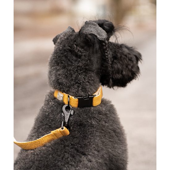 FUNKY DOG Konopné přepínací vodítko pro psa 3 m hořčicové