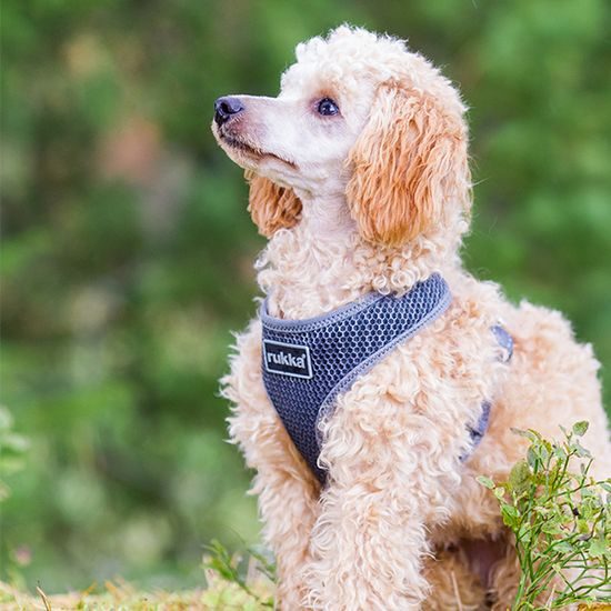 Rukka Comfort Air postroj