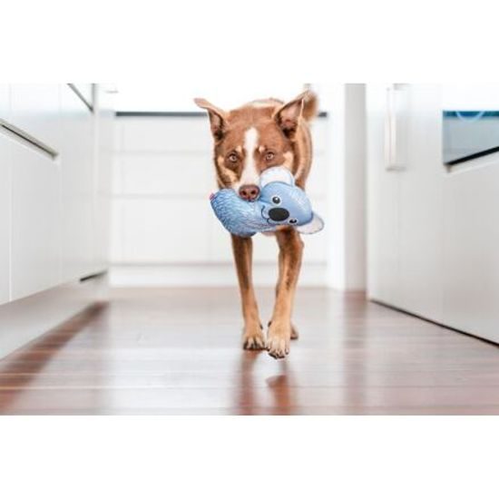 Red Dingo Durables Koala Kim