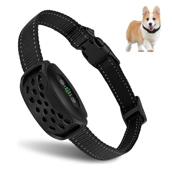 Reedog Protištěkací obojek V2