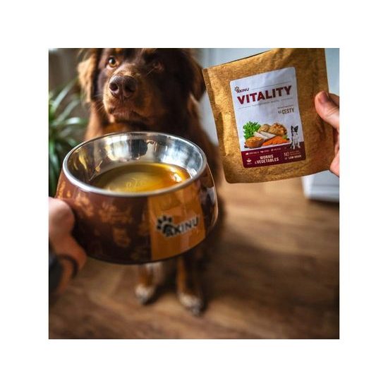 Akinu VITALITY na cesty hmyzí vývar pro psy 200 g