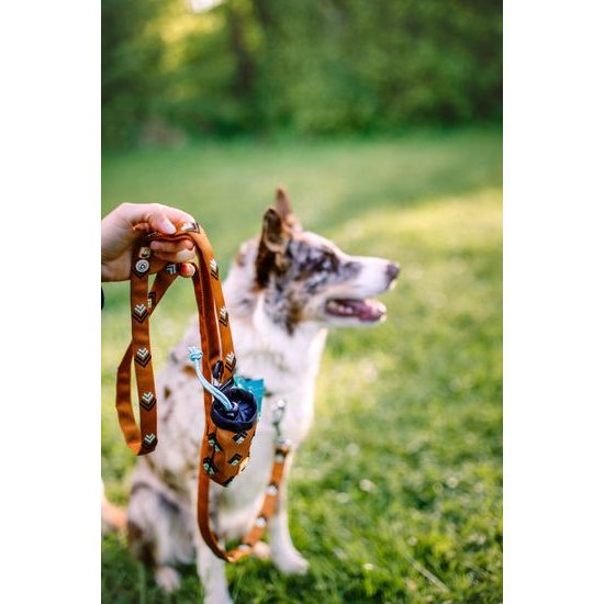 Woolly Wolf Sea To Summit Leash
