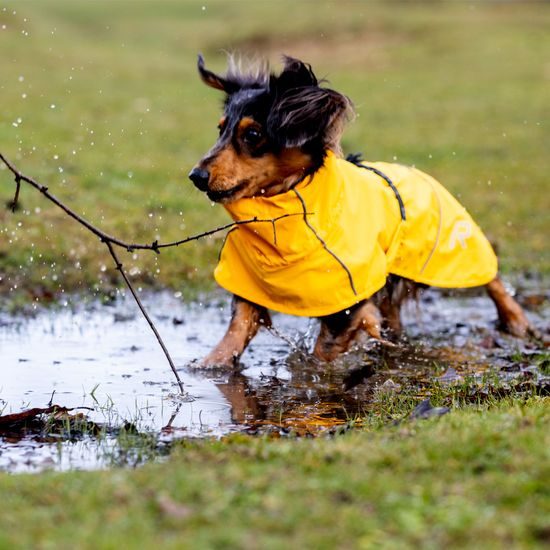 Rukka Hayton Eco Raincoat pláštěnka