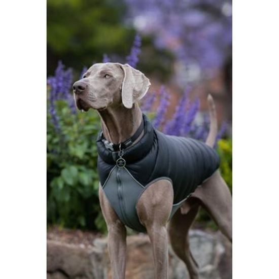 Red Dingo Puffer Jacket Černá / Šedá velikost bundy 30 cm