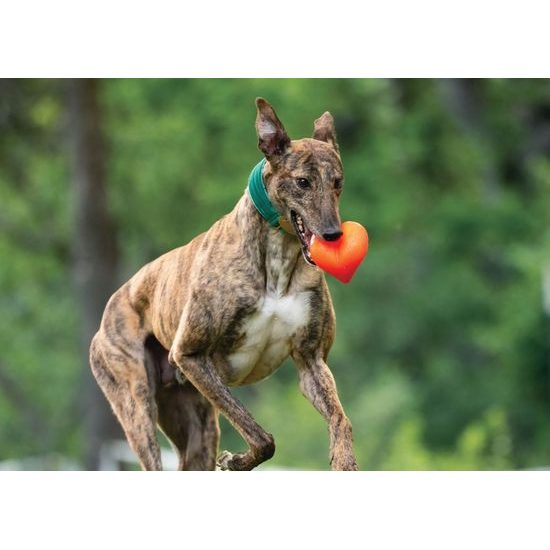 Ruff Dawg nezničitelná hračka pro psy srdce 7,6cm pro malé a střední psy do 18 kg