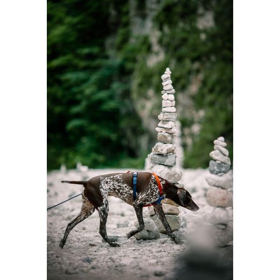 Woolly Wolf Long Rope Leash