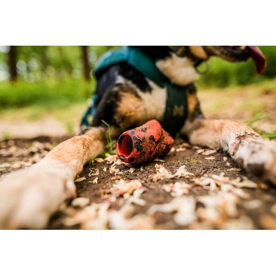 Non-stop dogwear Hračka Dog throw toy