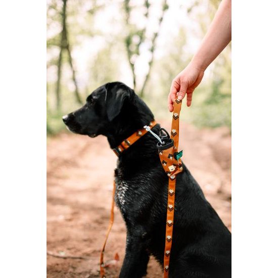 Woolly Wolf Sea To Summit Poop Bag Holder