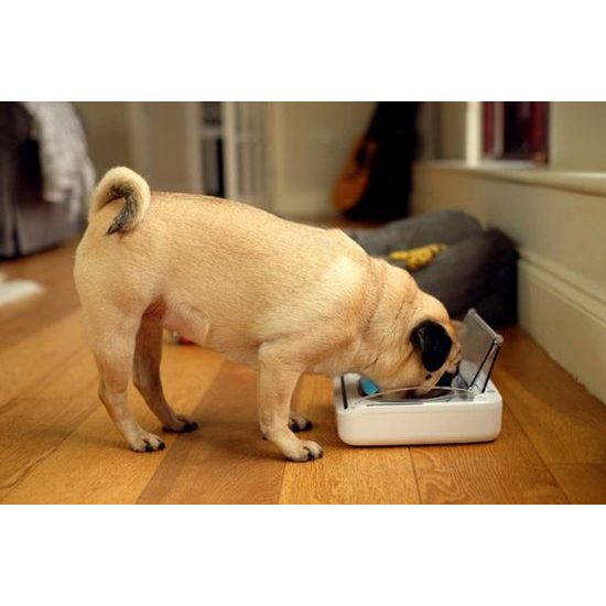 SureFlap SureFeed Pet Bowl miska na čip