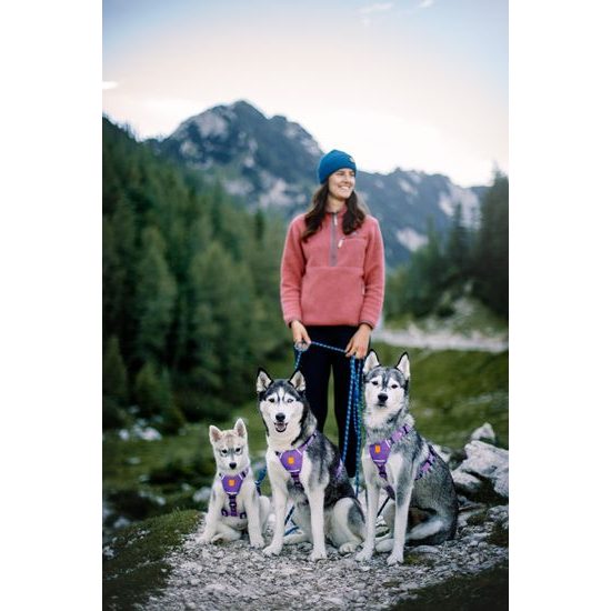 Woolly Wolf Northern Lights Harness