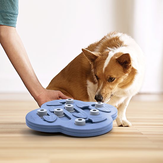 Nina Ottosson Pamlskový hlavolam