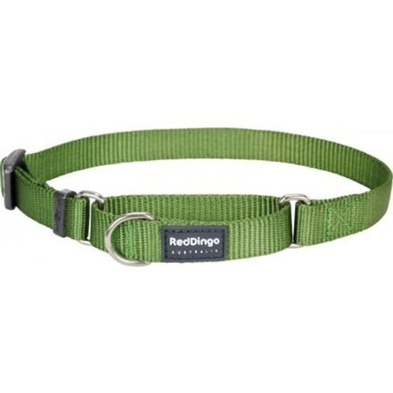 Red Dingo Obojek polostahovací 20 mm x 33-50 cm Zelená