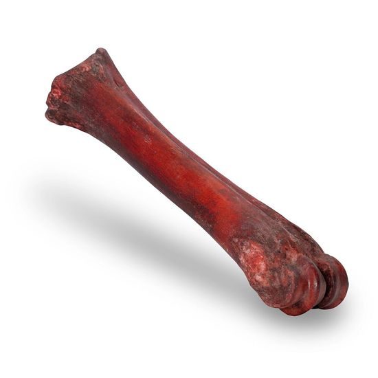 KidDog 100 % Natural Snack hovězí uzená holenní kost 20-24 cm