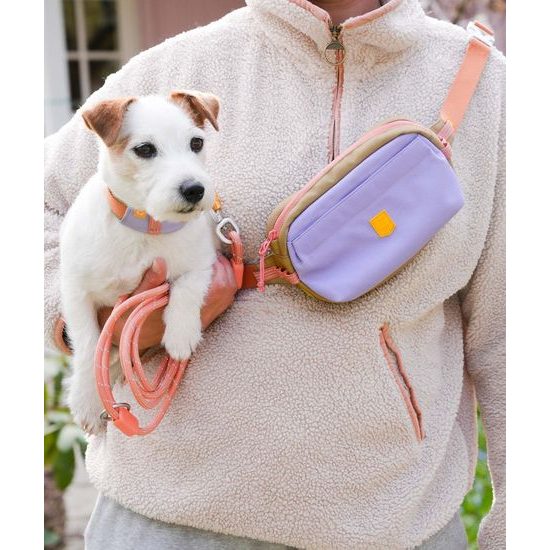 Woolly Wolf Alpha 360 Hip Pack