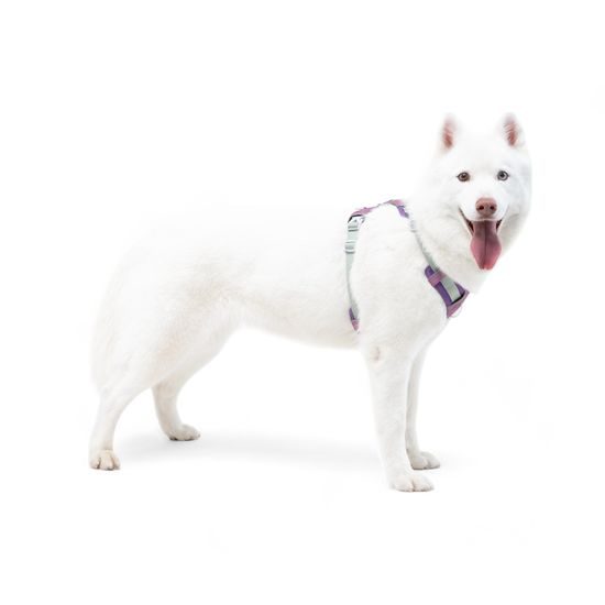 Woolly Wolf Alpha 360 Harness
