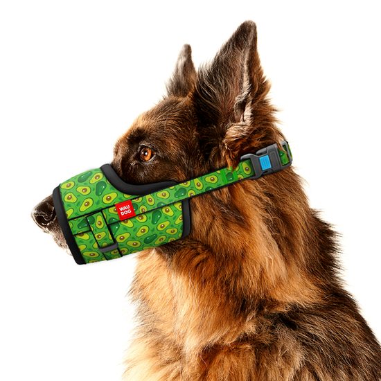 WAUDOG Náhubek fixační