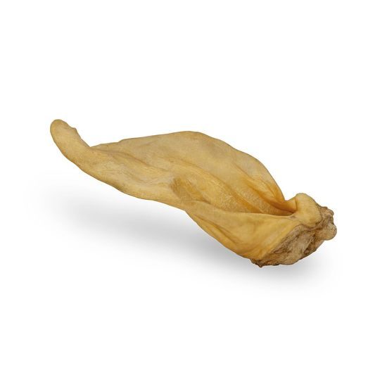 KidDog 100% Natural Snack hovězí ucho přírodní 20 cm / 55 - 60 g