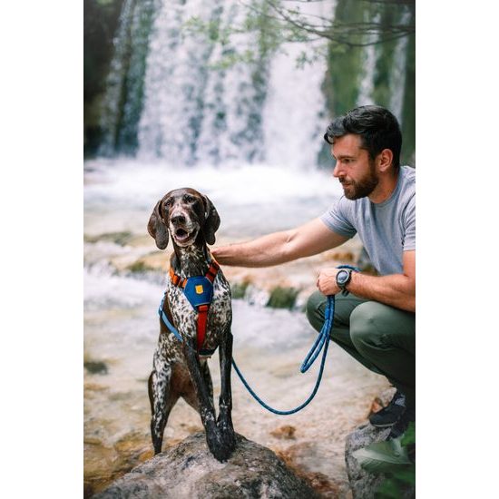 Woolly Wolf Color Block Harness