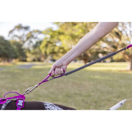 Red Dingo vodítko SuperLead Running Hi-Vis Peach 25 mm x 2,25 m