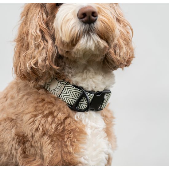 FUNKY DOG Široký 4cm obojek pro psa eco-friendly