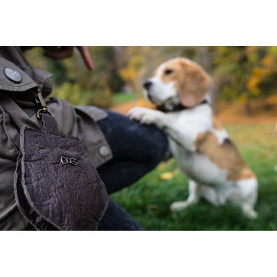 FUNKY DOG Hnědý pamlskovník Piňamka