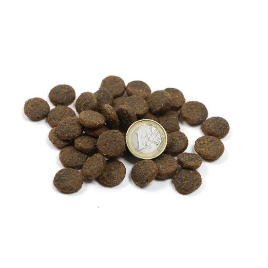 Doxneo Turkey krůtí bez obilovin 12kg