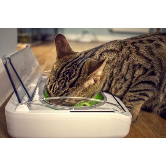 SureFlap SureFeed Pet Bowl miska na čip