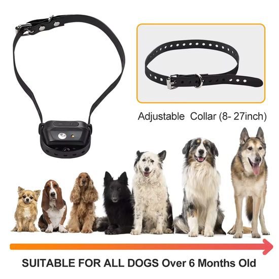 Reedog Elektronický obojek SP32