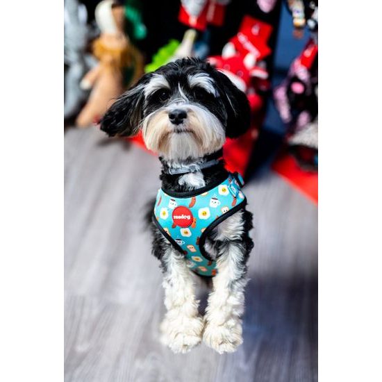 Reedog Kšíry pro psa BREAD