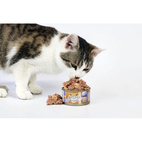 Marp Holistic Plus konzerva pro kočky Tuňákové paté s krevetami 24x70g