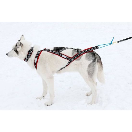 ManMat postroj RUN LONG