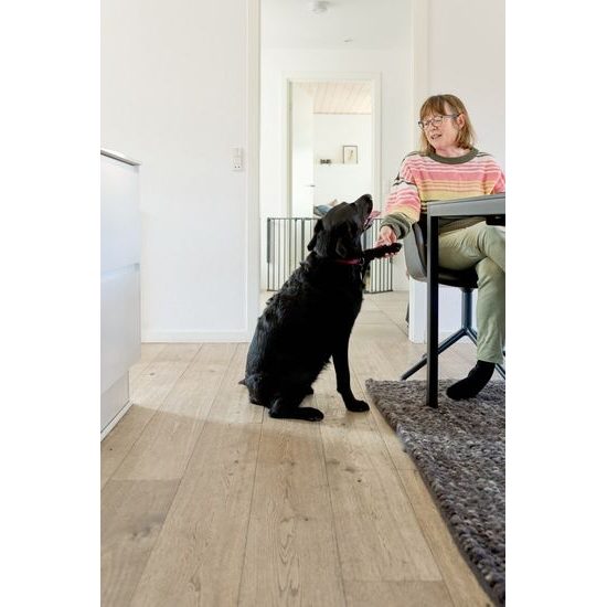 DogSpace Max M prostorová zábrana kovová černá