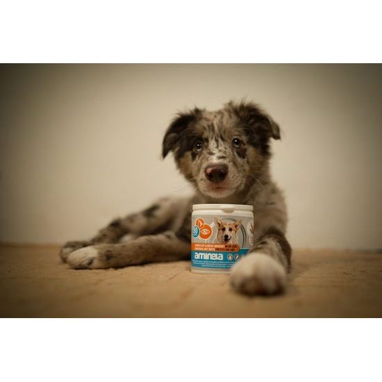 Aminela ubrousky na oči a uši 50ks